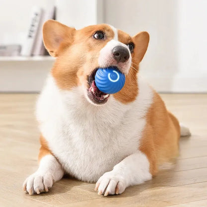 Pelota para perros y gatos