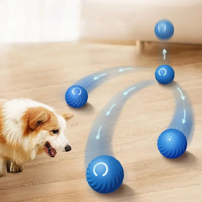 Pelota para perros y gatos