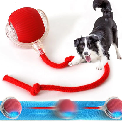 Pelota eléctrica para perros y gatos
