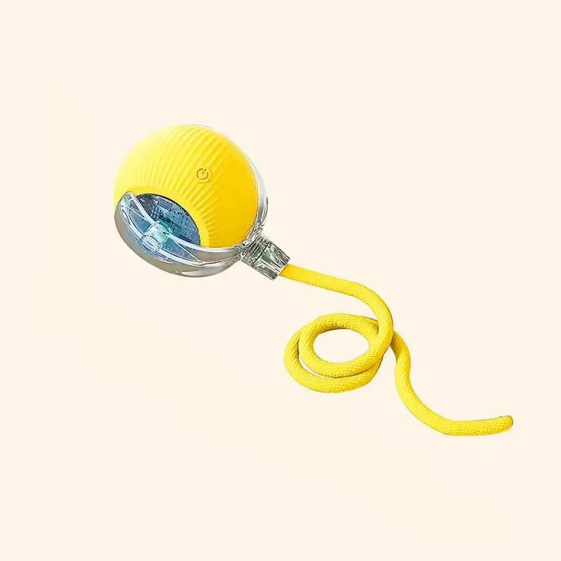 Pelota eléctrica para perros y gatos