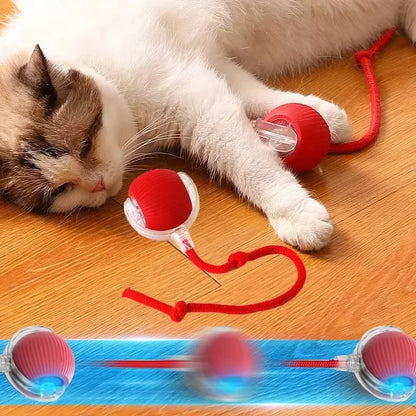 Pelota eléctrica para perros y gatos
