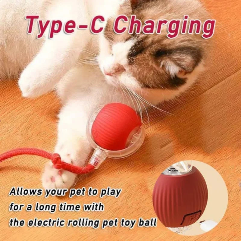 Pelota eléctrica para perros y gatos