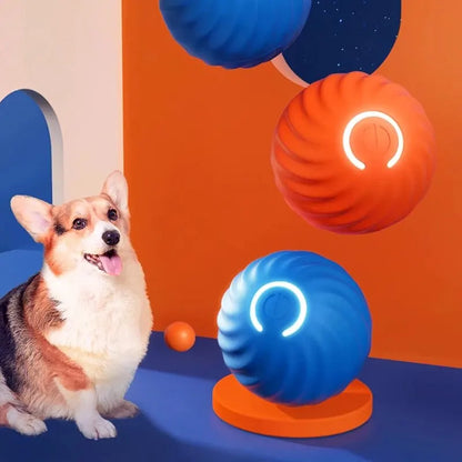 Pelota para perros y gatos